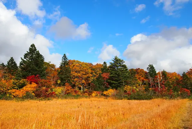 紅葉とワイルドな野湯を満喫　秋田焼山へ登山