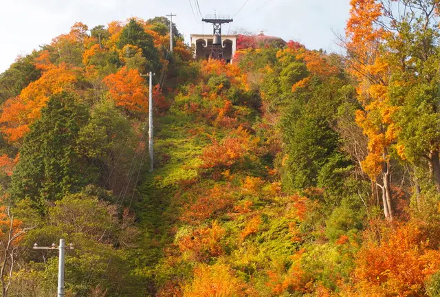 近江八幡～彦根城へ 紅葉を見に行こう！！