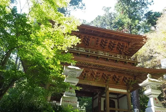 ［南足柄］南足柄満喫プラン 大雄山最乗寺、名物うどん、最後は滝も御案内♪