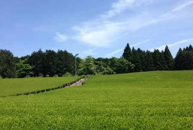 富士山の見える"農家民宿"で土に触れるゆるり旅。