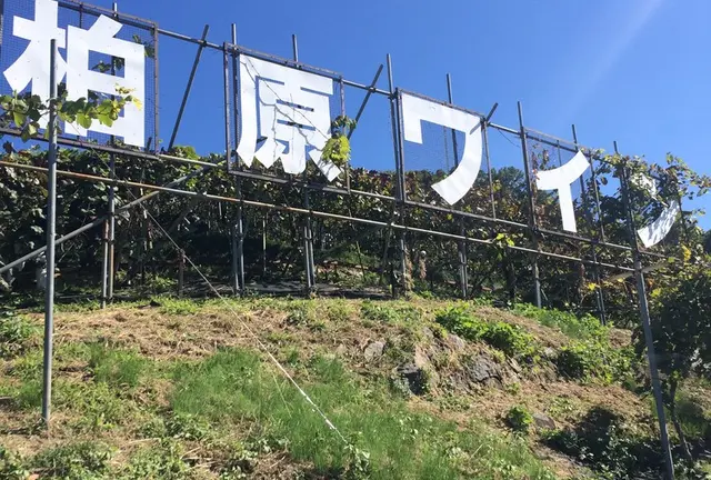 大人の遠足！　カタシモワイナリーツアー