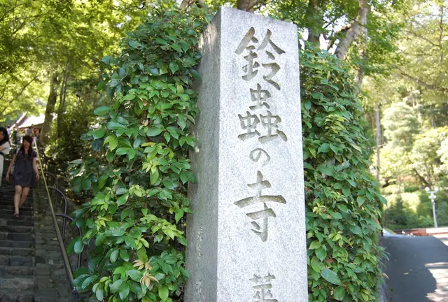 紅葉の名所・嵐山観光＆願いごとが叶うと有名な鈴虫寺へ。