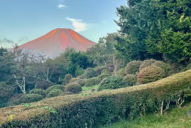 サ旅✨日本列島、真中横断🚗✨感動のサウナ体験ができる3泊4日🔥