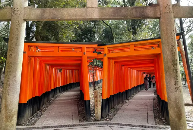 京都駅から30分🚃伏見・宇治の見どころ巡り🚶‍♀️本場のお茶体験も🍵