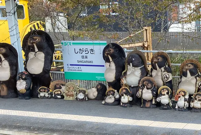 【甲賀市信楽】たぬきがたくさん〜弾丸！ぶらり旅〜🚶‍♀️1人プチtrip🚋