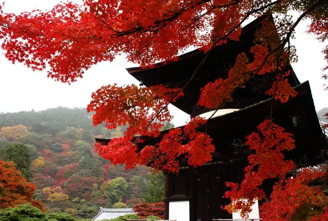 京都西山のもみじ狩りスポット
