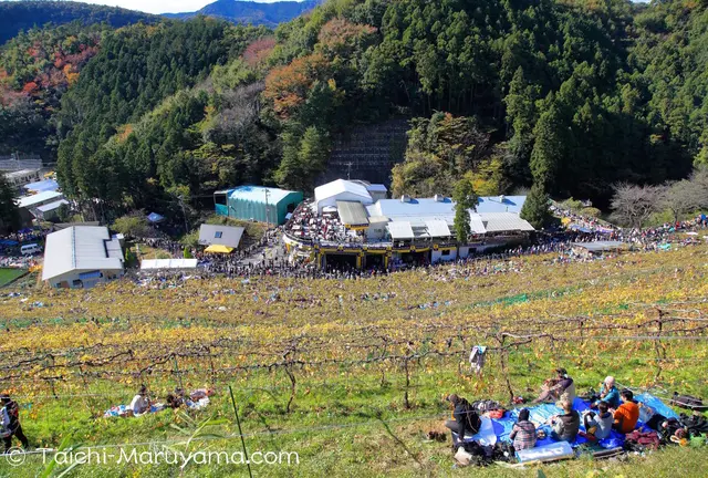 ココ・ファーム・ワイナリーの収穫祭に行ってみよう！／足利