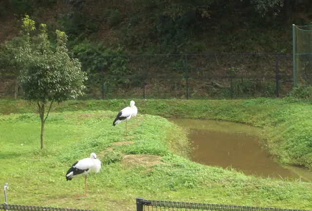 コウノトリと出会い、お菓子の神様に祈願。そして、カバンラッピングバスに乗車！？