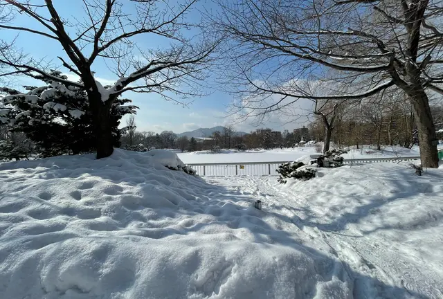 雪まつりと札幌旅行