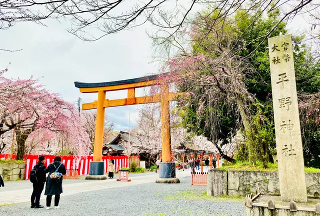 秘密にしたい春スポット🌸〜京都・西陣界隈〜