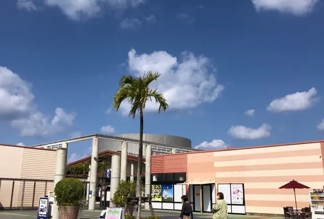 【沖縄】レンタカーを使わずに行ける那覇の人気スポット🛍️♪🦖