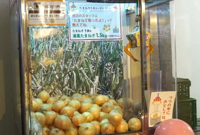 たまねぎＵＦＯキャッチャーって！？淡路島たまねぎづくしの旅