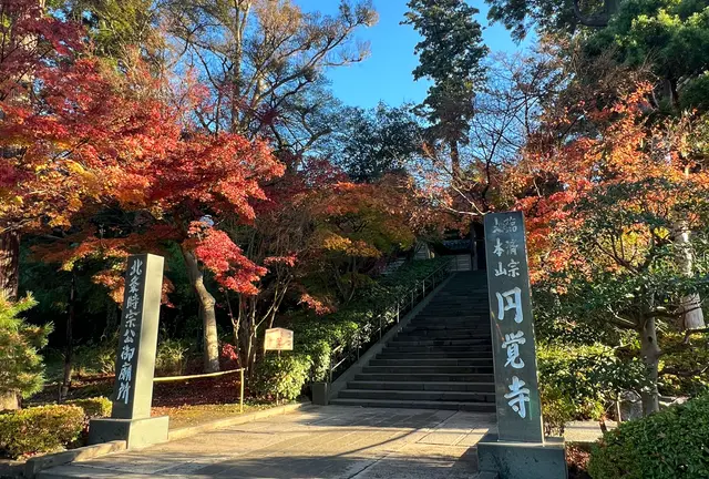 【鎌倉】1日で鎌倉を周り尽くすプラン。