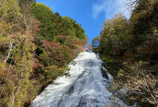【栃木県日光方面】ドライブで日帰り紅葉巡り