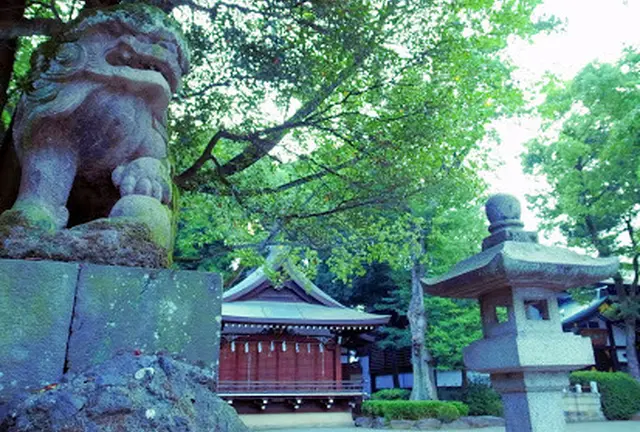 大人の贅沢はしご酒♪熊澤酒造と中伊豆ワイナリー日帰りの旅