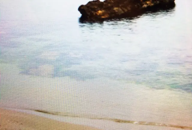12時間レンタカーでゆく、日帰りエメラルドの海とうまいもん。
