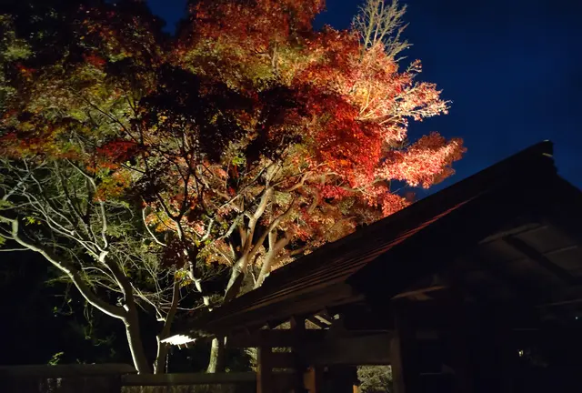紅葉始まる箱根湯本。日帰り温泉