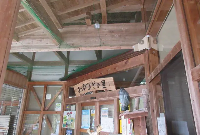 ひょっこり　あらぎ島が出現