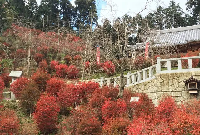 紅葉、登山、自然癒しの旅