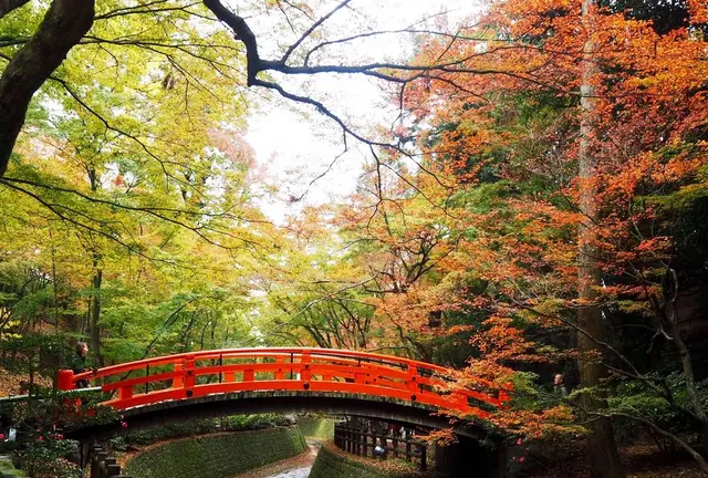 11月京都、紅葉を求めて③