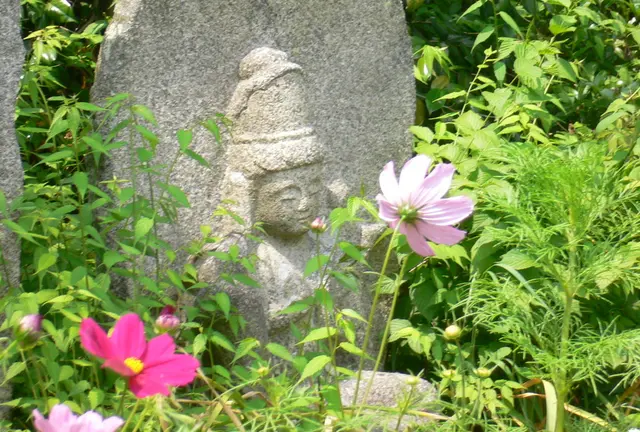 奈良　花の寺、般若寺～ならまち街歩き
