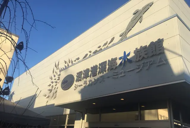 深海の世界を堪能〜沼津港深海水族館へ行こう！