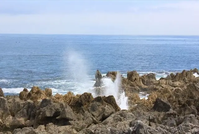 【気仙沼】観光パンフレットでは紹介されない気仙沼を巡る(入門編)