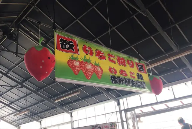 噂のイチゴ狩り〜とちおとめ♡