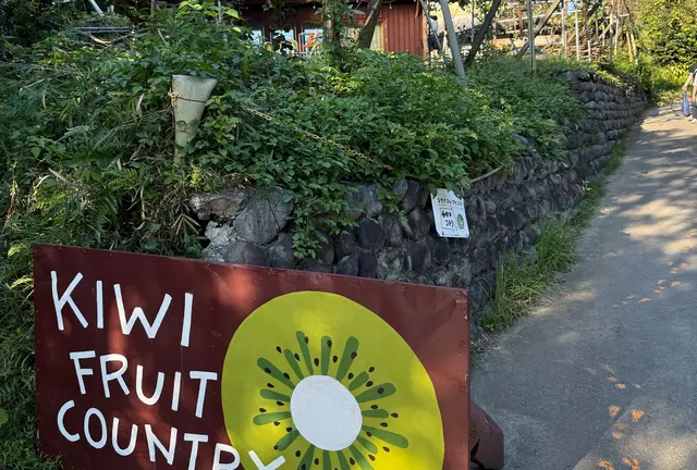 【静岡 掛川 KIWI FRUIT🥝COUNTRY】