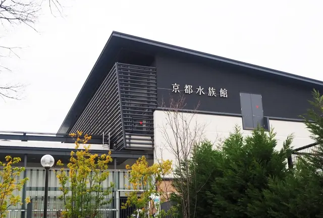 京都のおさかなさん