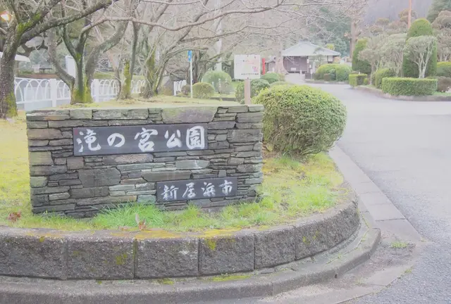 パンを持ってピクニック♡お手軽ピクニックプラン(愛媛県新居浜市 編)