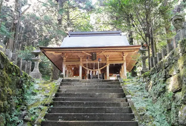 パワーが欲しい。癒しが欲しい。しみじみ巡るおんな一人旅　阿蘇を行く編
