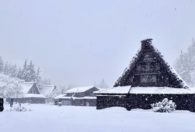 冬こそ行きたい！世界遺産白川郷❄️伝統文化と伝統工芸を味わう旅