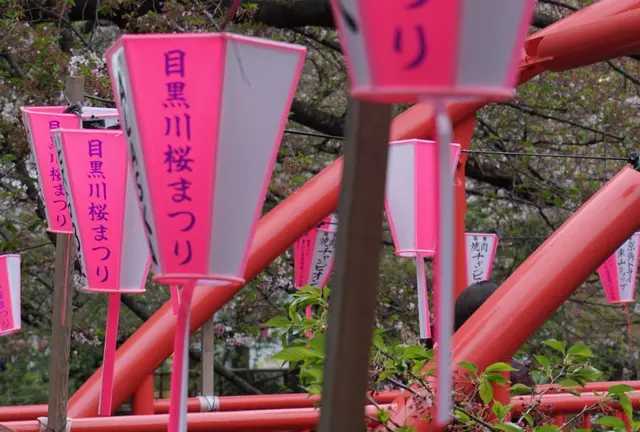 東京ぶらりで満喫しましょう。