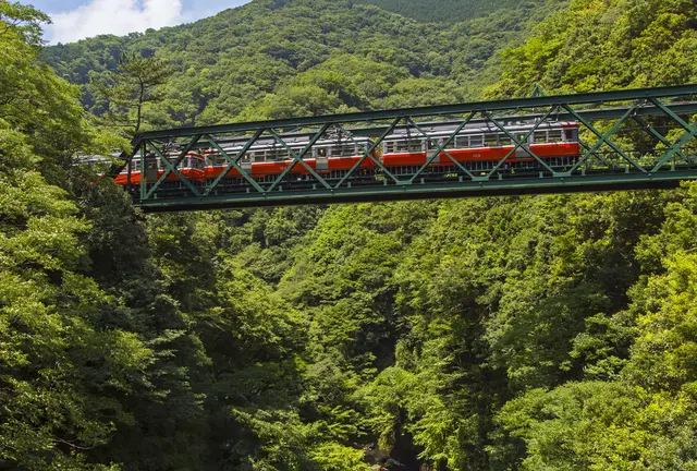 箱根日帰りひとり旅🚃🚠🚌