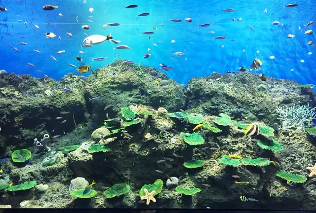 大洗・那珂湊・ひたちなか