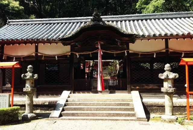 半日のどかに歩きながら、歴史や茶筌について学べるツアー  生駒市高山町