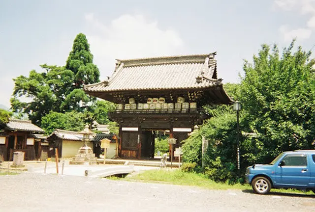 京都　ぬこの旅