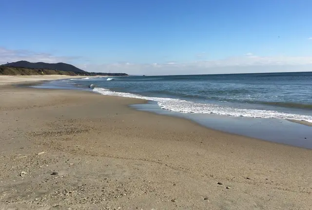 ✨海の散歩コース  渥美  表浜