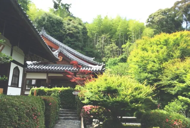 願い事を叶えるんるんるん
