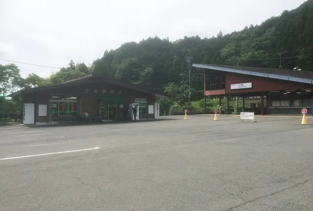 山里に咲く花を愛でながら〜埼玉県飯能市 伊豆ヶ岳