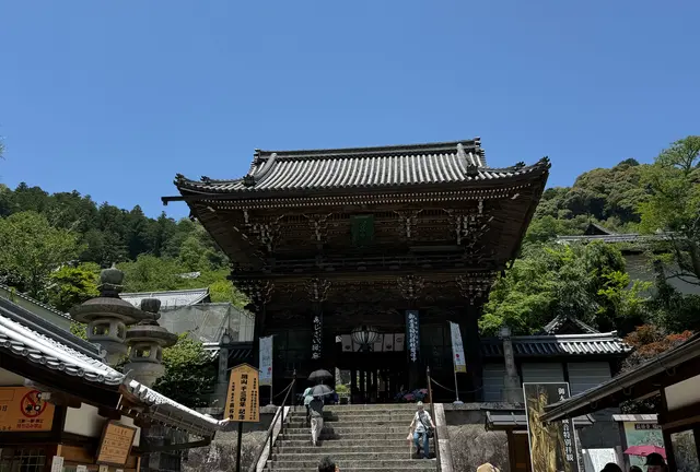【奈良】梅雨真っ最中？！🪷長谷寺へ