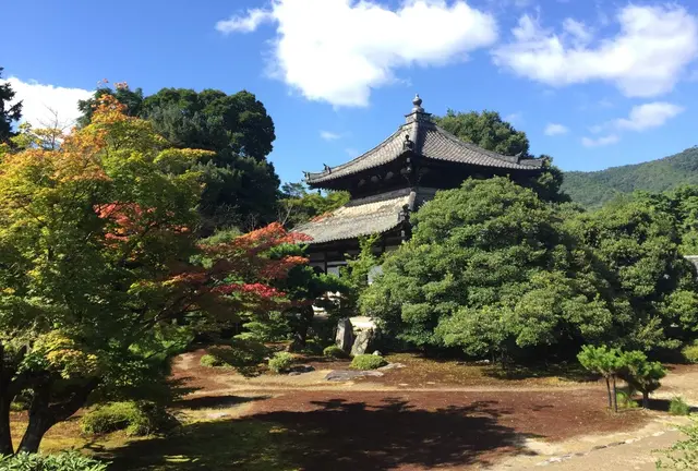 夏の京都・宿坊ステイで心を整える1泊2日
