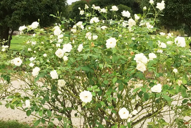 デートにいかがですか😊