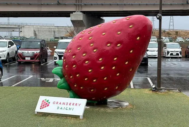 茨城パート8 常総つくばドライブ