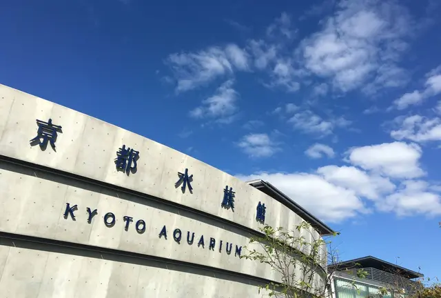 【京都駅近く】梅小路公園周辺デートスポット♡♡