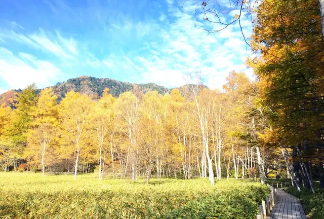 【紅葉満喫🌳🍂】ハイキングで楽しむ日帰り日光ぶらり旅♡