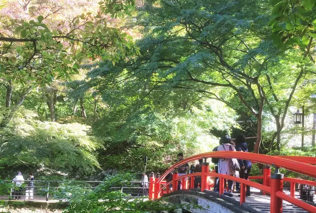 紅葉を求めて掃部ケ岳ハイキング＆伊香保温泉一泊二日