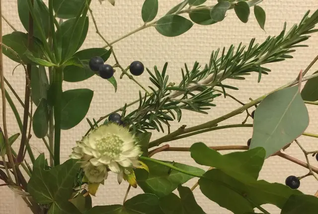 Flower Shop