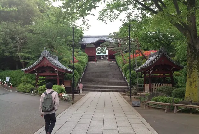 護国寺から神楽坂までお散歩